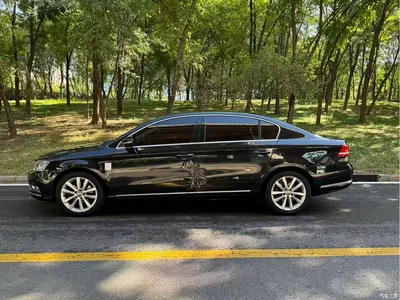 2013 Volkswagen Magotan 2.0TSI Premium, фото 4, лот 11579329
