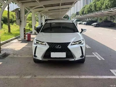 2020 Lexus UX 260h Explore Cool Edition, фото 2, лот 10313228