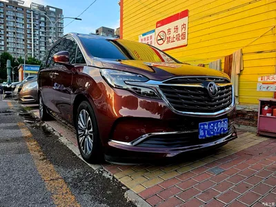 2022 Buick GL8 ES Landmark 653T Luxury, фото 2, лот 10253068