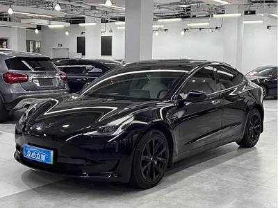 2022 Tesla Model 3 Model Rear-Wheel Drive Version, фото 1, лот 10361960