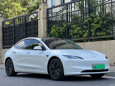2025 Tesla Model 3 Model Year Facelift Rear-Wheel Drive, фото 3, лот 10357247