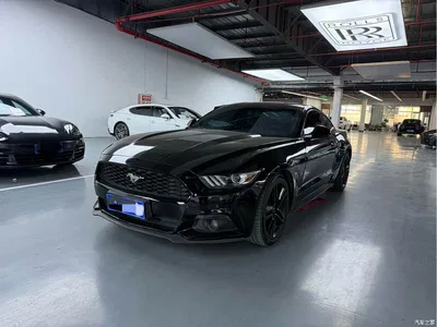 2016 Ford Mustang 2.3T Performance Edition, фото 1, лот 11583758