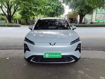 2024 Wuling Motors Wuling Xingguang S 130km Flagship Model, фото 3, лот 10835963