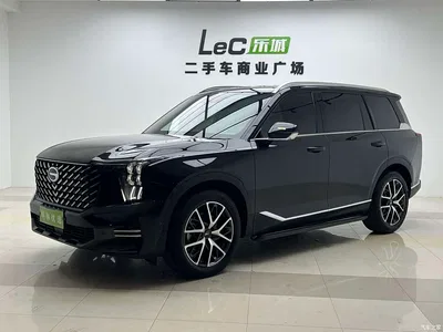 2022 GAC Trumpchi Trumpchi GS8 Pilot Series 2.0TGDI 2WD Luxury Smart Connect Edition (7-Seater), фото 1, лот 11180884