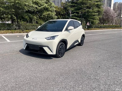 2024 BYD Seagull Glory Edition 305km Vitality Edition, фото 1, лот 10255479