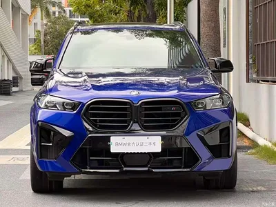 2023 BMW X5 M Model X5 M Thunder Edition, фото 2, лот 10407525