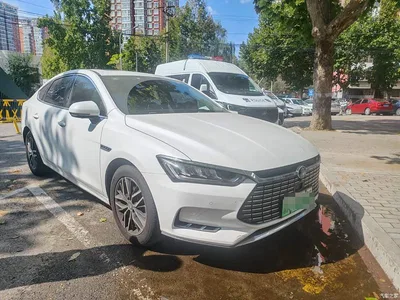 2019 BYD Qin Pro New Energy EV Super Edition High-power Smart Connection Premium, фото 3, лот 11203967