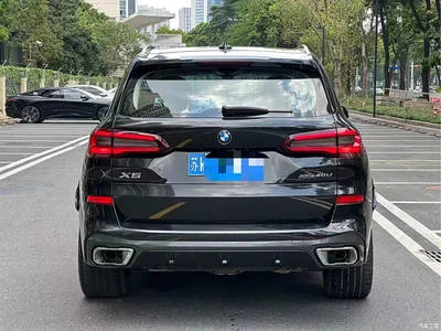 2022 BMW X5 Facelift xDrive 30Li Premium M Sport Package, фото 3, лот 10343444