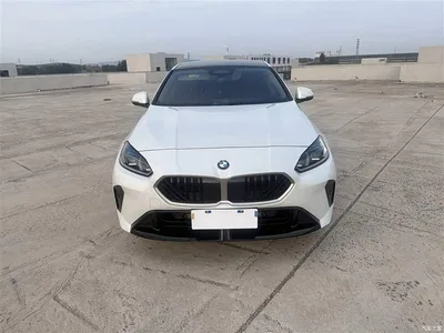 2025 BMW 2 Series 225L M Sport Package, фото 2, лот 10394812