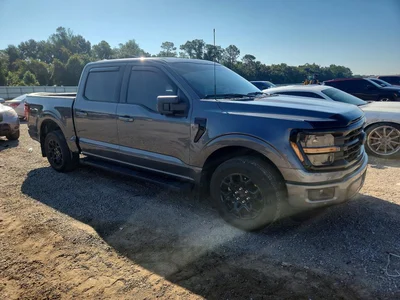 2025 FORD F150 XLT, фото 4, лот 11238791