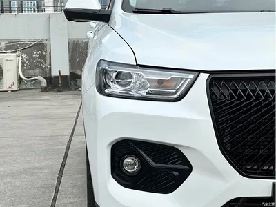 2021 Haval H6 2.0GDIT Automatic GT Luxury Edition, фото 4, лот 10296302