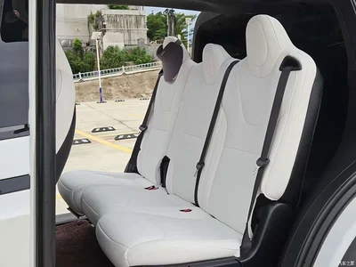 2023 Tesla Model X Dual Motor All-Wheel Drive Edition, фото 4, лот 10355576