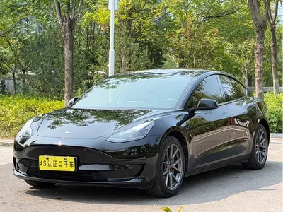 2022 Tesla Model 3 Model Rear-Wheel Drive Version, фото 1, лот 10890302