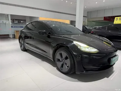 2023 Tesla Model 3 Rear-Wheel Drive, фото 2, лот 10346074