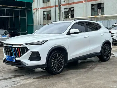2022 Changan Oshan Changan Oushang X5 Sport Edition 1.5T DCT Hurricane Sonic, фото 1, лот 11163481