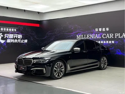 2017 BMW 7 Series M760Li xDrive Excellence Luxury, фото 3, лот 11073965