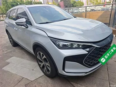 2025 BYD Tang New Energy DM-i 115KM Premium, фото 4, лот 10272705
