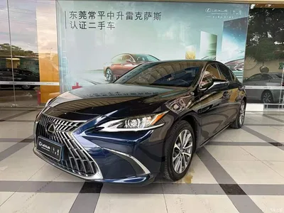 2023 Lexus ES 200 Excellence Edition, фото 1, лот 10391440