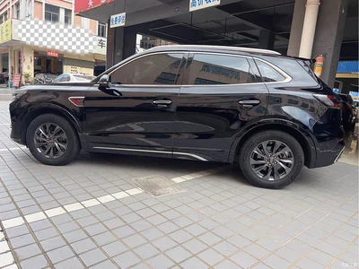 2023 Hongqi HS5 2.0T Flag Enjoy Pro Edition, фото 4, лот 10287070