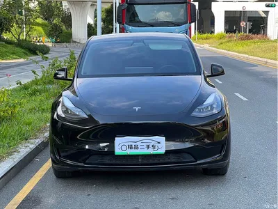 2022 Tesla Model Y Rear-Wheel Drive Version, фото 3, лот 10450228
