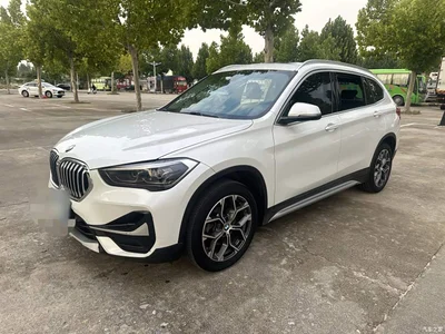 2020 BMW X1 sDrive20Li Premium Edition, фото 1, лот 11007458