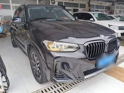 2022 BMW X3 xDrive25i M Sport Package, фото 4, лот 11190938