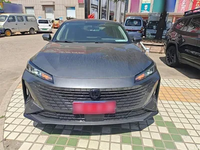 2023 Changan Yida Blue Whale NE 1.5T GDI DCT Exclusive, фото 3, лот 10257364