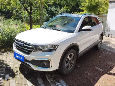 2018 Haval H6 Coupe Blue Label 1.5T Auto 2WD Luxury Edition, фото 1, лот 10415425