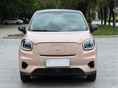 2023 Leapmotor T03 310 Light Edition, фото 3, лот 11565738