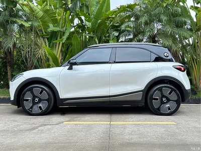 2024 smart Elf #1 Agile Luxury Edition, фото 3, лот 10343128