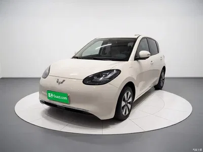 2025 Wuling Motors Wuling Bingo Model 333km Smart Connect, фото 1, лот 10367306