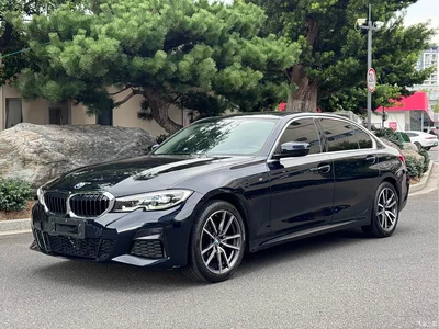 2022 BMW 3 Series 325Li M Sport Package, фото 1, лот 11133149
