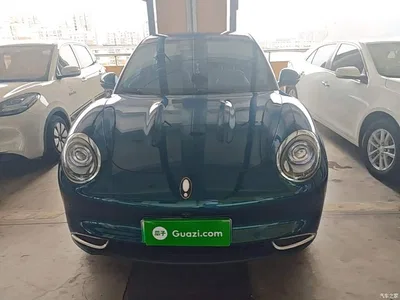 2023 Ora Good Cat 401km Standard Range Premium LFP, фото 3, лот 10330804
