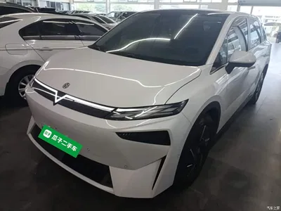 2023 Venucia VX6 Model 520 Max, фото 2, лот 11237934