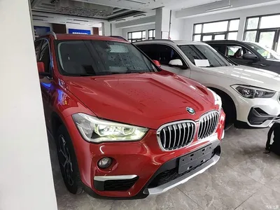 2019 BMW X1 xDrive20Li Premium Model, фото 4, лот 10467430