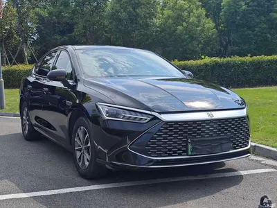 2023 BYD Qin PLUS Champion Edition DM-i 55KM Leading, фото 3, лот 11132954