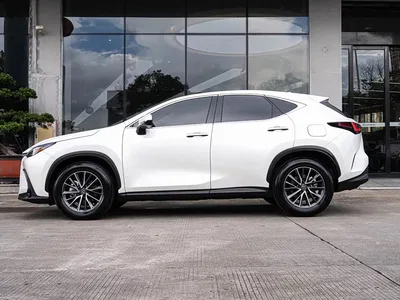 2022 Lexus NX 350h FWD Innovation Edition, фото 4, лот 10312859