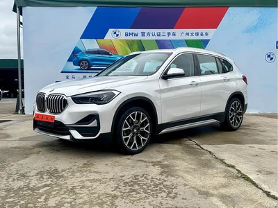 2022 BMW X1 xDrive25Li Premium, фото 1, лот 10238143