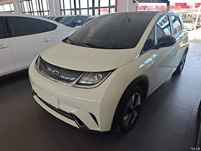 2023 BYD Dolphin 420km Fashion Edition, фото 1, лот 10264409