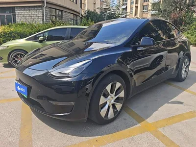 2021 Tesla Model Y Model Long Range AWD, фото 1, лот 10448634