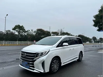 2021 GAC Trumpchi Trumpchi M8 Leading Show Series 390T Prestige Edition, фото 1, лот 10419766