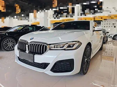 2021 BMW 5 Series 530Li Leading M Sport Package, фото 1, лот 11565711