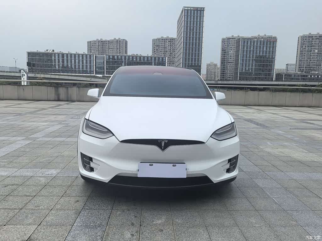 2019 Tesla Model X Long Range Version, фото 2, лот 11191768