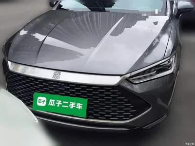 2023 BYD Qin PLUS Champion Edition DM-i 55KM Surpassing, фото 2, лот 11545455