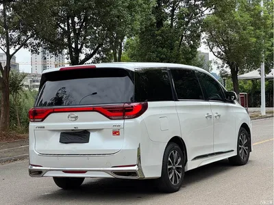 2023 GAC Trumpchi Trumpchi M8 Leading Series 390T Luxury Edition, фото 4, лот 10419044