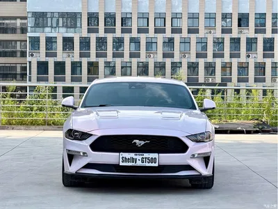 2021 Ford Mustang 2.3T EcoBoost, фото 2, лот 10281155