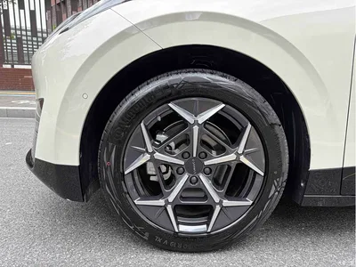 2025 Lynk & Co Z20 530km RWD Max, фото 4, лот 10326649