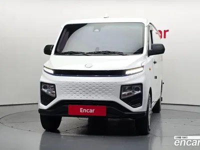 2023 Geely SE-A2 Van 2 Seater, фото 3, лот 11020053