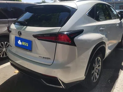2018 Lexus NX Model 300h FWD Fengshang Edition China V, фото 3, лот 10479016