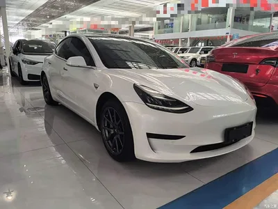 2020 Tesla Model 3 Standard Range Rear-Wheel Drive Upgrade, фото 4, лот 10284890